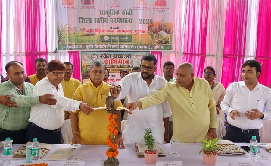 WhatsApp Image 2026-06-18 at 19.19.55